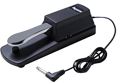 Rayzm Universal Sustain Pedal for Digital Piano & Electronic Keyboard, Anti-slip Foot Pedal with Polarity Switch, 1.4m Cable