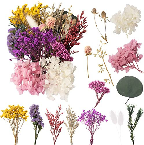 LAUMOE Trockenblumen, Getrocknete Blumen, Trockenblumen Zum Basteln Trockenblumen Klein Trockenblumen Set für Kunst DIY Harz Scrapbooking Handwerk Karten Machen (Stil 3)