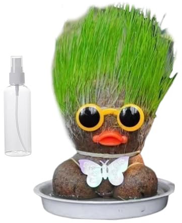 Grassuppe, Graskopfpuppe | Mini -Grashead -Haare Wachsen Spielzeug | Pflanzenbildungsdekoration mit Tabletts und Sprühflaschen kultivieren Kinderpflanzfähigkeit für Kinder Garten Frauen Kinder