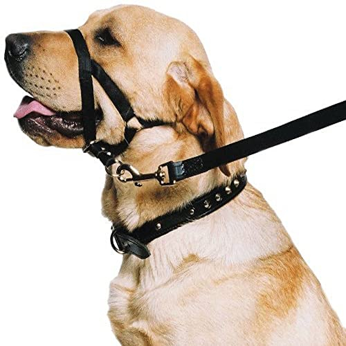 Ancol Weatherproof Nylon Dog Training Halter Head Collar - Black - Sturdy Pulling Control Pet Walking Accessory - Small