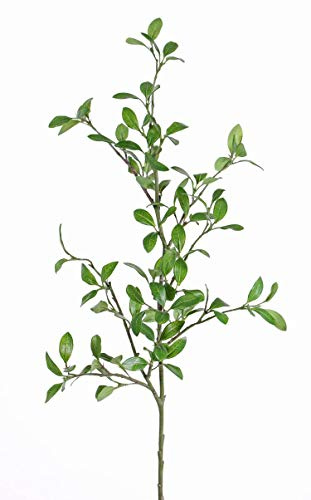 artplants.de Konstgjord kvist liguster Menzel, grön, 105 cm
