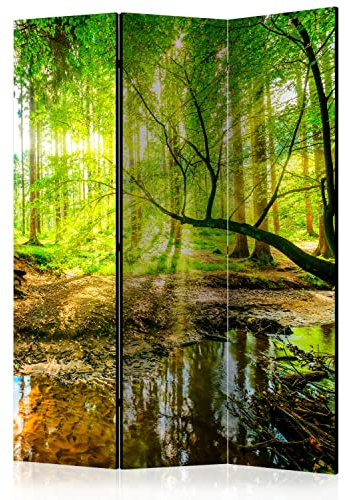 murando - Paravent Raumteiler Innen Wald 135x172 cm einseitig auf Vlies-Leinwand Bedruckt Trennwand Spanische Wand Sichtschutz Raumtrenner Landschaft Bäume Natur Botanik Sonne c-B-0241-z-b