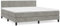 Willood Boxspringbett mit Matratze Hellgrau SamtSchlichtes Design 180x200 cm