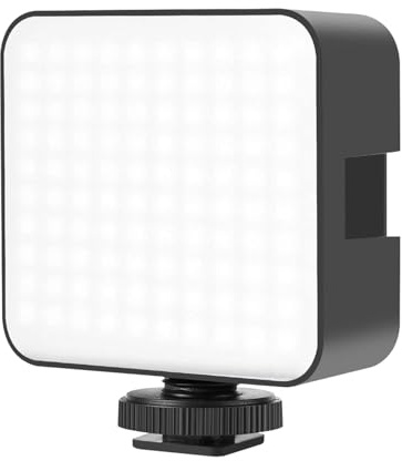 Denash LED-Videoleuchte mit Einstellbarer Farbtemperatur und Cold Shoe Mount, 100 Perlen, für DSLR-Kamera, Stativ, Selfie-Stick, Stromversorgung über AA-Batterien, Anschluss