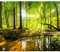 decomonkey Fototapete Wald 100x70 cm Tapete Wandbild Bild Fototapeten Tapeten Wandtapete Wand Schlafzimmer Wohnzimmer Natur Landschaft Baum