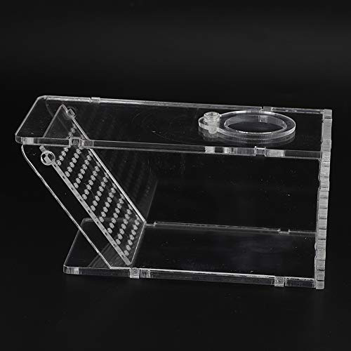 Qcwwy Krabbenfalle Catcher Box, Fischfalle Catcher Box Acryl Aquarium Fisch Süßwasser Krabbenfalle Catcher Box One Way Trap Box Fish Tasteless Safe for Fish AQU