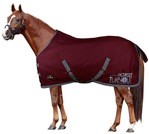Horses, Coperta da Paddock per Cavallo Turnout 200 gr, Impermeabile, Imbottita, Resistente, con Cinghie ad Incrocio, Bordeaux 155 cm