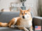 Shiba Inu Kalender 2025, Monats-Wandkalender, 12 Monate, hergestellt in den USA