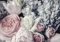WallArena - Vlies Fototapete Blumen Pfingstrose Romantisch Rosen 208x146 cm - Fototapeten - Tapeten - für Wohnzimmer Schlafzimmer - Vliestapete Wandtapete Tapete 3D Effekt- inkl. Kleister