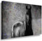 Julia-Art - Bilder Pferd Leinwand mit Keilrahmen 100 x 70 cm Leinwandbild XXL Wandbild Tiere Kunstdrucke Tierwelten Bild Wanddesign Wanddekoration c-642v-194