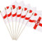 JUNEBRUSHS 20 Stück Nordirland-Flagge, 14 x 21 cm, Mini-Handflaggen, Taschen-Nationalflaggen, 2024 Dekorationen (Nordirland)