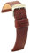 diloy Uhrenarmband aus Leder mit Eidechse gravur 12mm 14mm 16mm 18mm 20mm 22mm. Ref 407 Mittleres Braun 20mm.