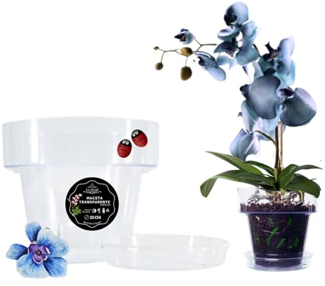 LiveLaif®-Ø15cm- Maceta orquidea Transparente Redonda + Plato | Maceta Transparente orquidea | Agujeros Drenaje,Efecto Vidrio | Maceta para orquídeas, Hecha en España-Varios Modelos/Tamaños