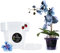 LiveLaif®-Ø15cm- Maceta orquidea Transparente Redonda + Plato | Maceta Transparente orquidea | Agujeros Drenaje,Efecto Vidrio | Maceta para orquídeas, Hecha en España-Varios Modelos/Tamaños