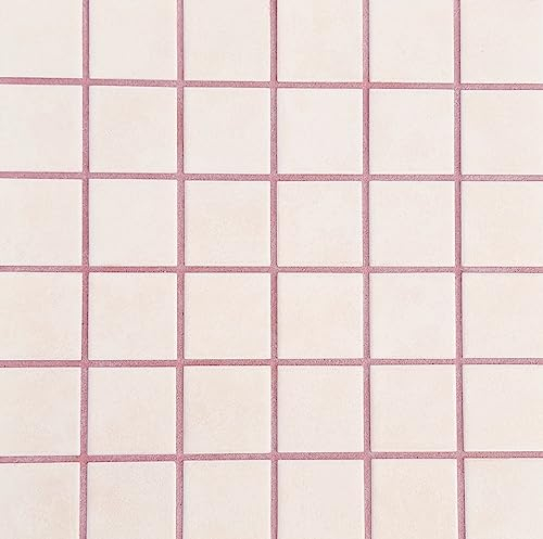 Fugenmörtel-Farben | ROSE`| 1kg | Einsetzbar für Fugen im Innen- und Außenbereich auf Wand- und Bodenflächen