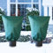 Pflanzen Winterschutz Frostschutz for Kübelpflanzen: 2 set 70g/m² 120 x180cm überwinterungszelt Pflanzenschutz mit Reißverschluss für Olivenbaum Palmen Reißfest Atmungsaktiv Waschbar UV Stabil Grün