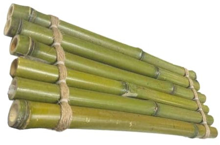 MAGICLULU Radeau en Bambou pour Aquarium Radeau de Bambou pour Aquarium décor d' Ornement en Planche à couler en Ornement d'aménagement paysager d' Green