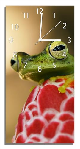 Wallario Design-Wanduhr Frosch sitzt auf Einer Knospe aus Glas, Motiv-Uhr Größe 30 x 60 cm, weiße Zeiger