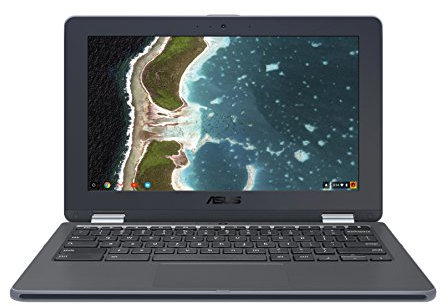 ASUS Chromebook Flip C213SA-YS02 notebook/portatile Grigio 29,5 cm (11.6) 1366 x 768 Pixel Touch screen 1,10 GHz Intel® Celeron® N3350