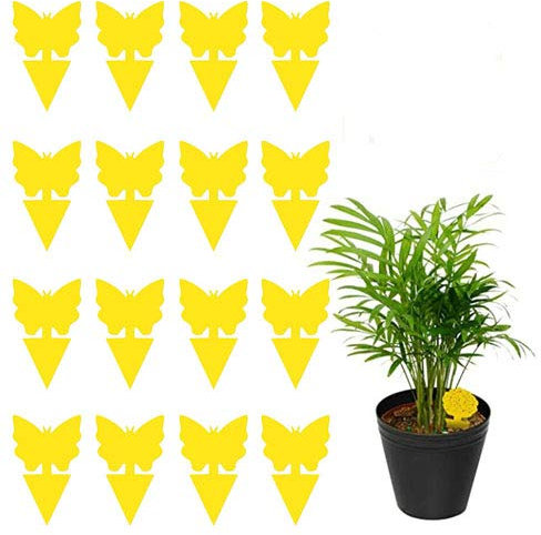 Zhongkaihua 12 Stück Gelbsticker Gelbtafeln Trauermücken, Beidseitig Gelbfalle Fliegenfalle Garten, Gelbtafel Insekten für Zimmerpflanzen Topfpflanzen