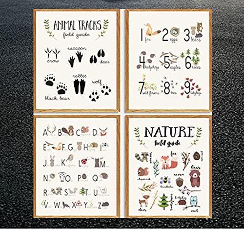 Woodland Animal Educational Poster Kindergarten Wall Gemälde Alphabet Learning Tracks Guide Cartoon Prints Leinwand Kindergarten Bild Kinderzimmer Schlafzimmer Wanddekor I29125 40x60cmx4/Kein Rahmen
