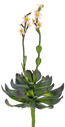 artplants.de Aeonium artificelle sur Piquet, Fleurs Roses, 30cm - Plante grasse Artificielle - Petite Plante Verte