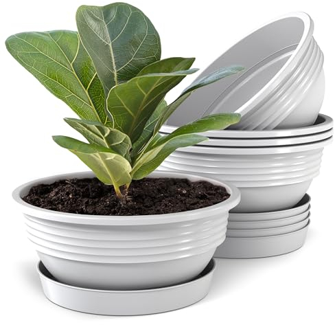 Plastard Pflanzschale mit Untersetzer im 5er Set in Weiß 32 cm Durchmesser große runde Blumenschalen aus Kunststoff für Garten Terrasse Wohnung für Aussen und Innen Schalen Pflanztopf