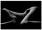 wandmotiv24 Poster als Wanddeko, Größe 100x70cm, sinnliches Foto, liegende Frau, Sexy, erotisch, Model, Moderne Wanddeko, Wandbilder, Deko, Bild M0069
