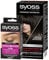 SYOSS Color Coloration 2_1 Schwarzbraun Stufe 3 (1x 115 ml), permanente Coloration für bis zu 10 Wochen Farbintensität & Augenbrauen Kit Augenbrauenfarbe 1–1 Schwarz Stufe 3 (17 ml)