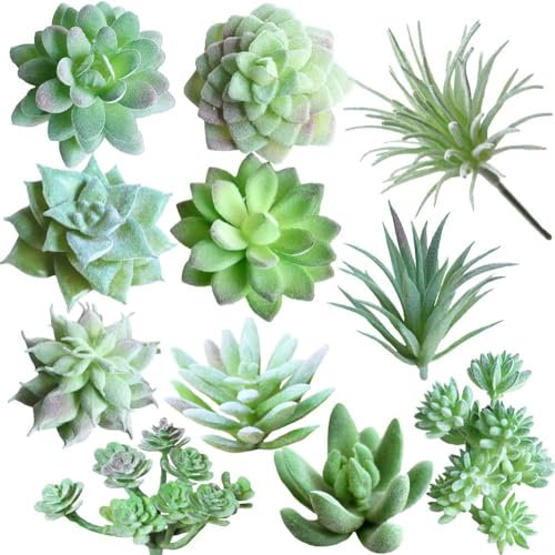 Ruiaqer 11 Pièces Artificielles Plantes Succulentes,Fleurs Artificielles sans Pot Lmitation de Succulentes,Petite Fausses Plantes Vertes Décoration, pour Salle de Bain, Salon, Bureau Decoration
