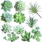 11 Plantas Suculentas Artificiales,Mini Plantas Artificiales Decorativas, Planta Artificial Pequeña, para Hogar, Jardín, Oficina, Balcón, Ventana, Escritorio, Decoración de Habitación