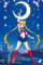 Grindstore Sailor Moon Maxi-Poster, laminiert