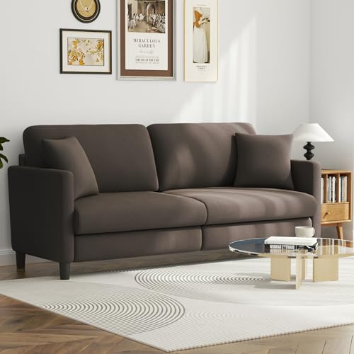 Growaystory 3 Sitzer Sofa 3er Teddy Fleece Kleines Couch mit 2 Wurfkissen für Wohnzimmer/Schlafzimmer/Büro/Wohnung (Braun)