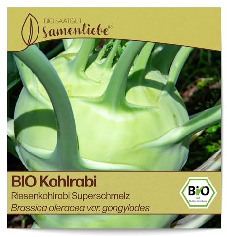 Samenliebe BIO Riesenkohlrabi Samen Gemüsesamen Superschmelz 150 Samen Gemüse Samen Garten Riesenkohlrabi Saatgut samenfeste einjährig Pflanzen für Gewächshaus und Freiland