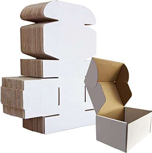 HORLIMER 25 Stück Versandkarton Klein Karton Box, 153x102x76mm Verpackungskartons mit Deckel für Warensendung, Geschenkbox, Faltkarton, Postkarton, Versandkarton(Weiß)