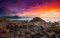 Adult Jigsaw Puzzles 1000 Pieces Giant'S Causeway Sunset Northern Ireland Uk 75 * 50Cm