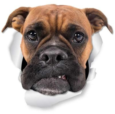 TIZIKJ Boxer Hund Autoaufkleber, 3D Risseffekt, Wasserfest, Reflektierend, Lustige Aufkleber für Auto, Stoßstange und Fenster (15cm/5.9 Inch)