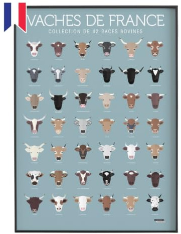 La Majorette à Schnurrbart-Poster – 50 cm x 70 cm – Lieferung in einer Schutzröhre aus Karton (53 cm x 6 cm) für Amateure de Nature