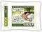 Miracle Bamboo Pillow with Viscose from Bamboo Cover- King- Deluxe