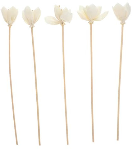 GOOHOCHY 5stücke Rattan Diffuser Sticks Für Ätherische Öle Duftstäbchen Für Aromatherapie Für Wohnräume Küche Bad Und Büro Luftauffrischung Und Dekoration