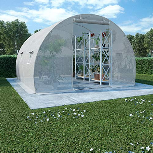 Festnight Serre en Acier avec 4 Fenêtres Latérales et 1 Porte 9 m² 300x300x200 cm Blanc