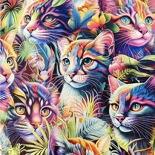 Textileo Nähstoff Baumwolle 50x160 cm | Bedruckter Trainingsanzugstoff 94% Baumwolle 6% Elastan 250 g/m2 | Ideal für Kinderbekleidung | weicher und geschmeidiger Stoff | Colorful Cats