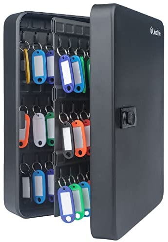 Uniclife Armoire à Clés 100 Positions avec Serrure à Combinaison Réinitialisable Boîte à Clés Numérique Noire Organisateur de Clés en Acier avec Porte Clés Coloré Étiquettes Autocollantes et Crochets
