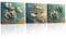 Piy Painting 3X Leinwandbilder von Blume und Schmetterling Wandbilder Bild auf Leinwand, Elegante Blumengemälde, Moderne Heimdekoration für Wohnzimmer, Büro, Restaurant, eingebauter Rahmen, 30x30 cm