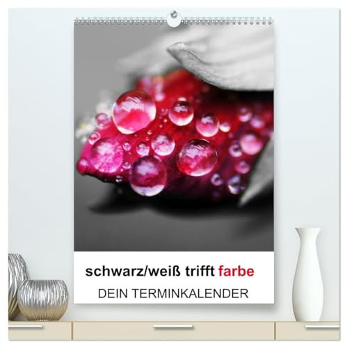 schwarz/weiß trifft farbe - DEIN TERMINKALENDER/Planer (hochwertiger Premium Wandkalender 2026 DIN A2 hoch), Kunstdruck in Hochglanz: Ein ... Fotos den besonderen Look (CALVENDO Natur)