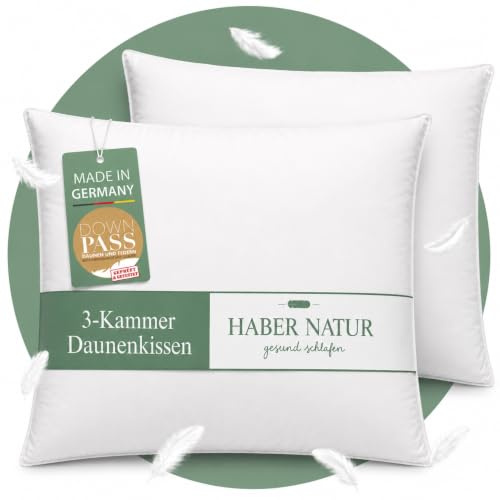 HABER NATUR 3-Kammer Daunenkissen 80x80 2 Stück-Made in Germany-Kopfkissen | 90% Daunen & 10% Federkissen | 1400g Füllgewicht |Allergiker geeignet (NOMITE) | Tierwohl (DOWNPASS) | Oeko-TEX Klasse 1