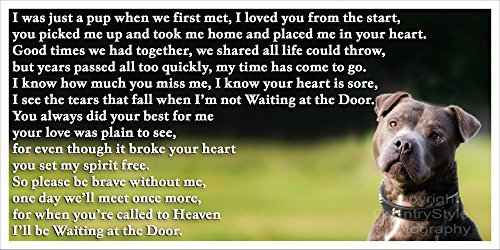 Staffordshire Bull Terrier Staffy bereavement pet dog loss Flexible Fridge Magnet - Waiting at the Door