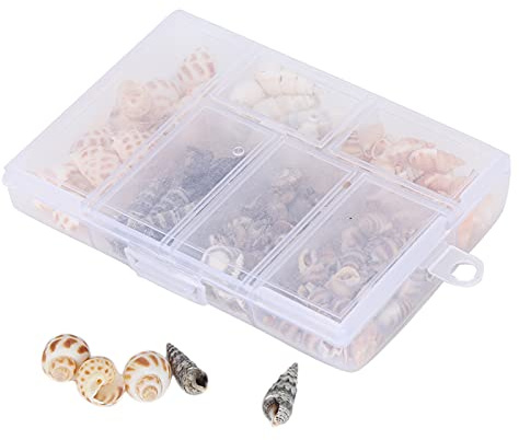 Jenngaoo Mini Muscheln Deko, Tiny Seashells 6 Arten Mixed Beach Schneckenhäuser Muscheln für Schmuck Handwerk DIY Conch Home Hochzeitsdekoration Ornament