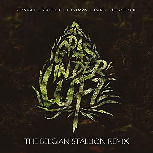 Gras in der Luft (Extended RMX Intrumental)