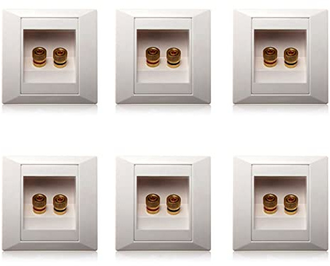 Oikabio 6X Wanddose Wand Anschluss Anschlussdose Port mit 2 Buchse Fuer Bananenstecker Lautsprecher-